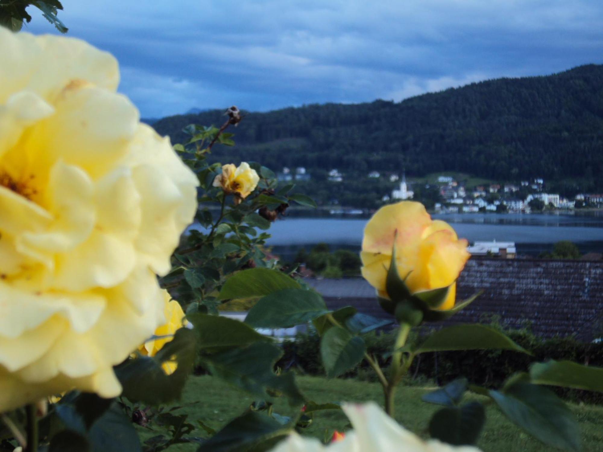 St. Oswalderhof Panzió Pörtschach am Wörthersee Kültér fotó