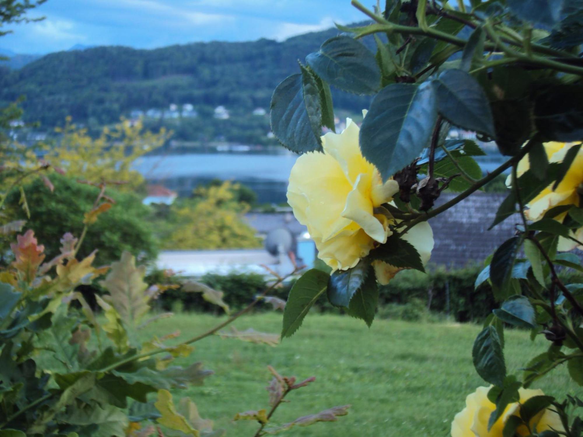 St. Oswalderhof Panzió Pörtschach am Wörthersee Kültér fotó