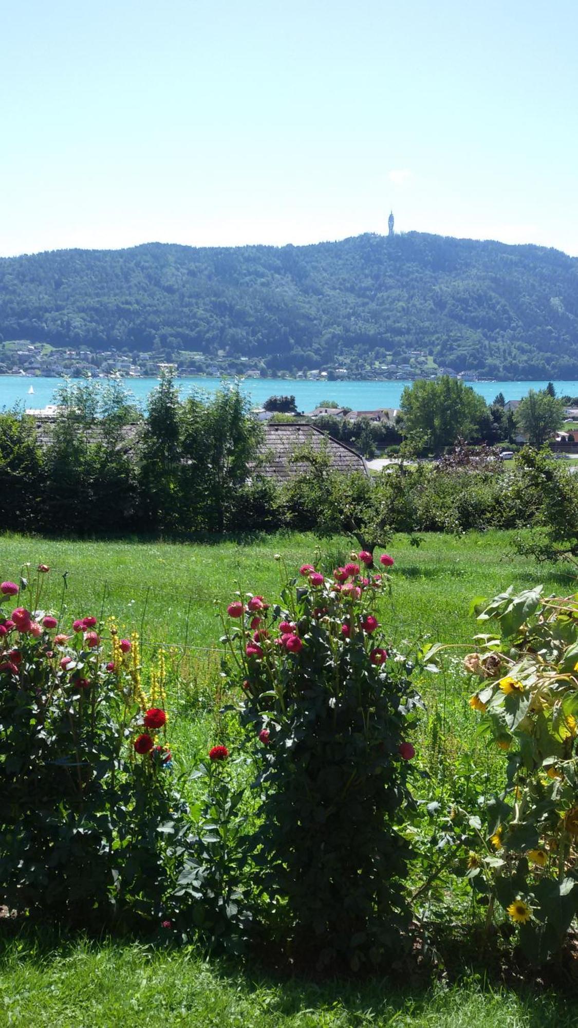 St. Oswalderhof Panzió Pörtschach am Wörthersee Kültér fotó