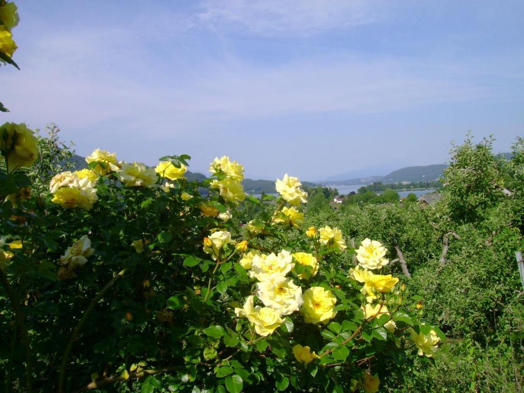 St. Oswalderhof Panzió Pörtschach am Wörthersee Kültér fotó